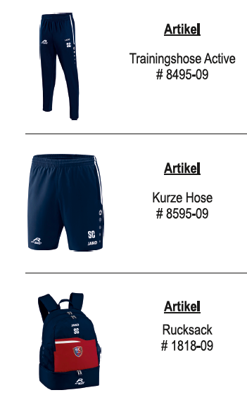 ARSport Artikel3